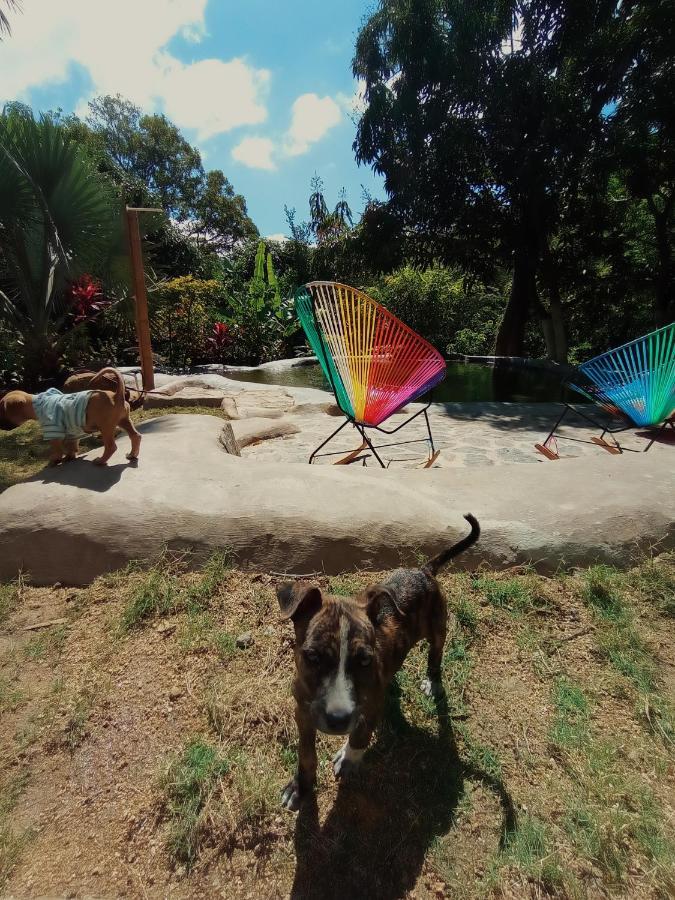 Hostal Dos Quebradas Santa Marta  Eksteriør bilde